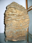 ��ת S1050864