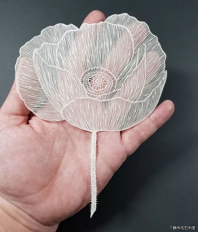 ͼƬ