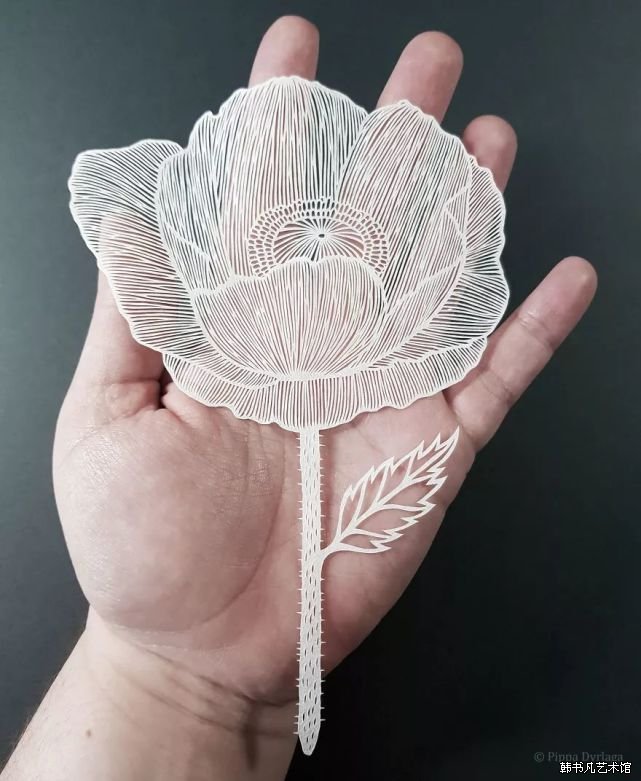 ͼƬ