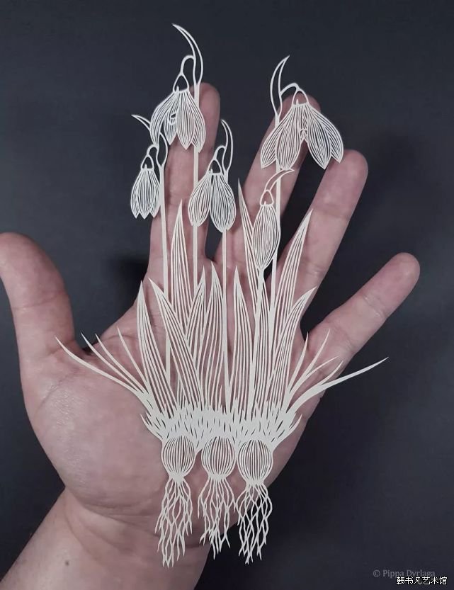 ͼƬ